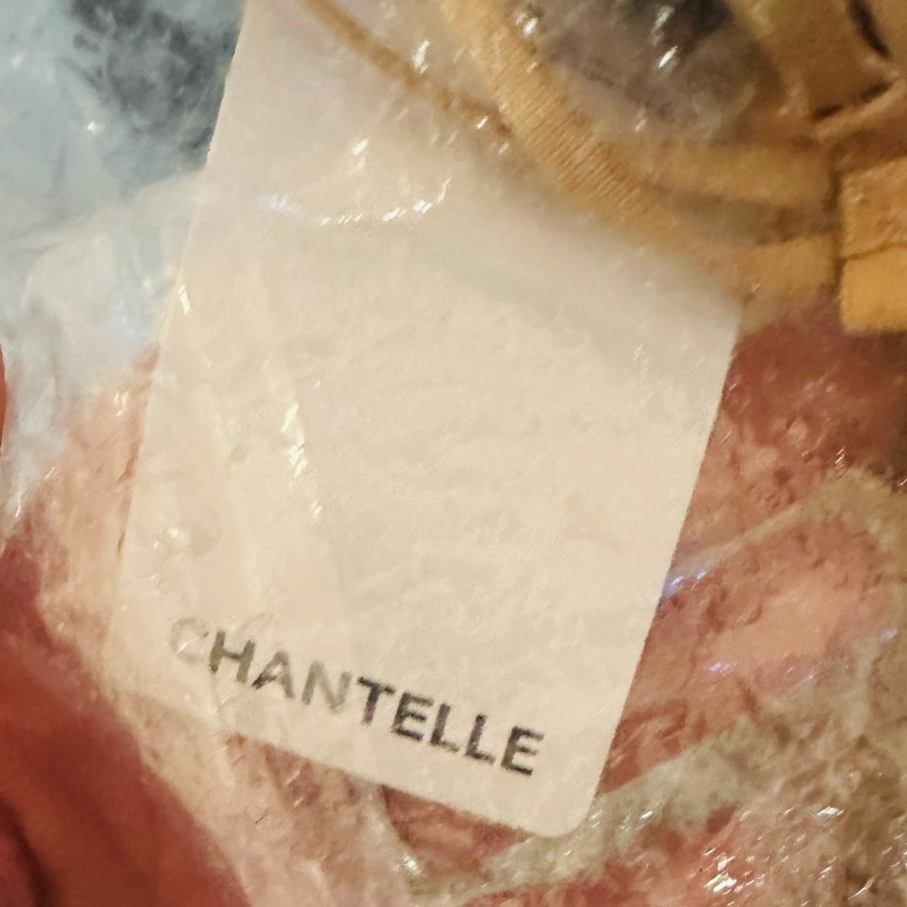 NWT 36A Chantelle T-Shirt Bra - Toffee Retail$86 - Picture 4 of 4